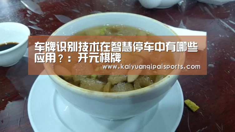 车牌识别技术在智慧停车中有哪些应用?:开元棋牌(图1) 开元棋牌直播