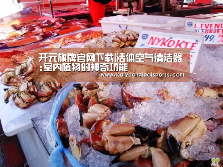 开元旗牌官网下载|活体空气清洁器:室内植物的神奇功能(图2) 开元旗牌官网下载
