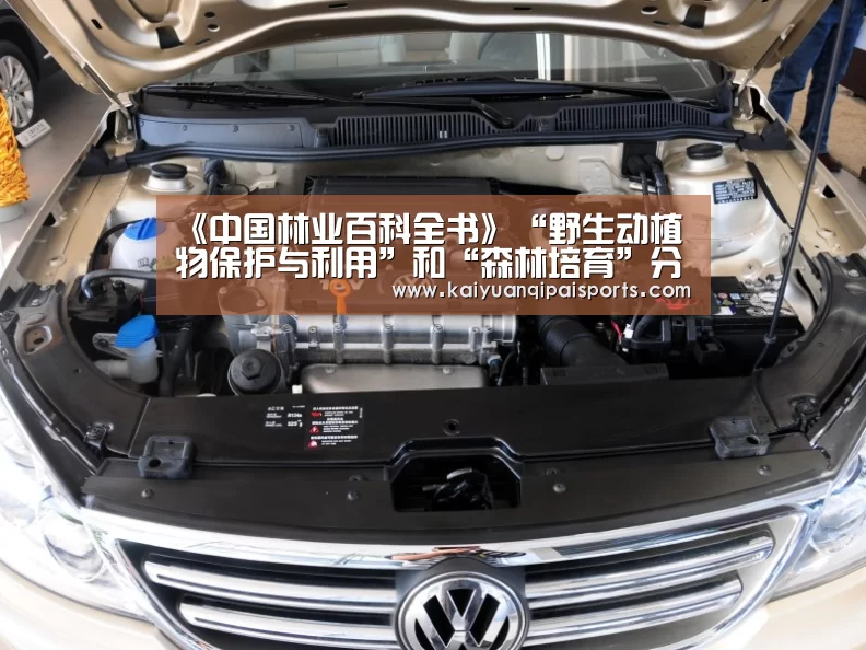 开元旗牌官网下载