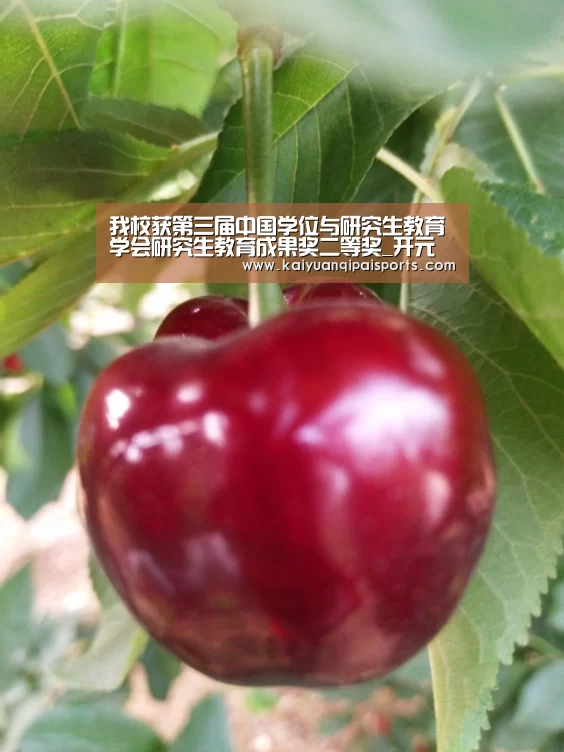 我校获第三届中国学位与研究生教育学会研究生教育成果奖二等奖_开元棋牌(图3) 开元棋牌官网